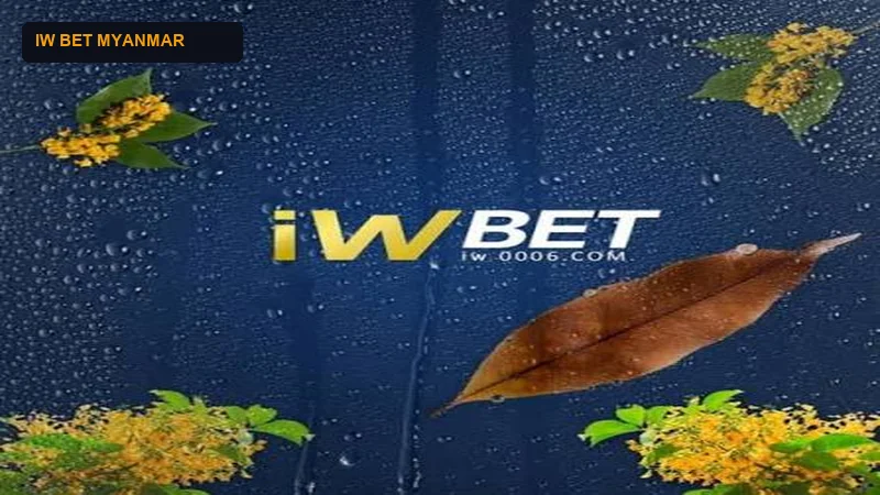 IWBet Official Viber Support Channel Interface
